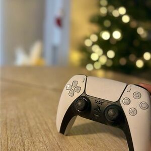 Sony Gray Wireless Controller